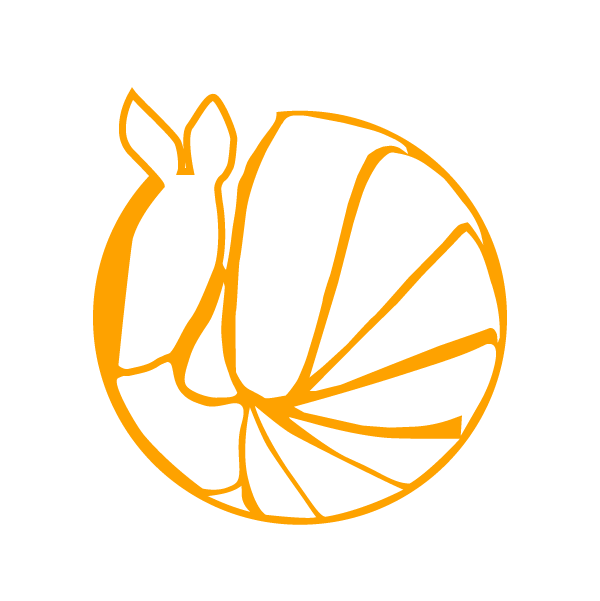 Logo Tuzinho Academy